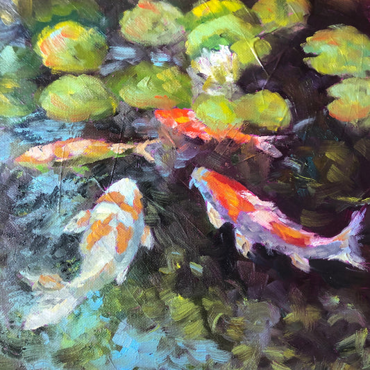 Life as a Koi Fish