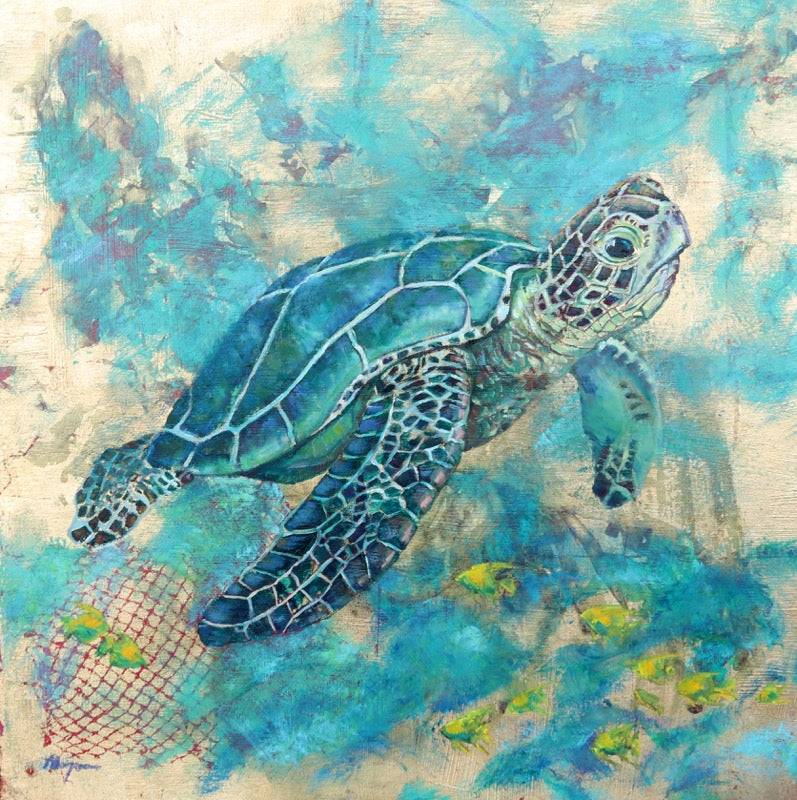 The Tortoise Stores his Wisdom in His Shell II