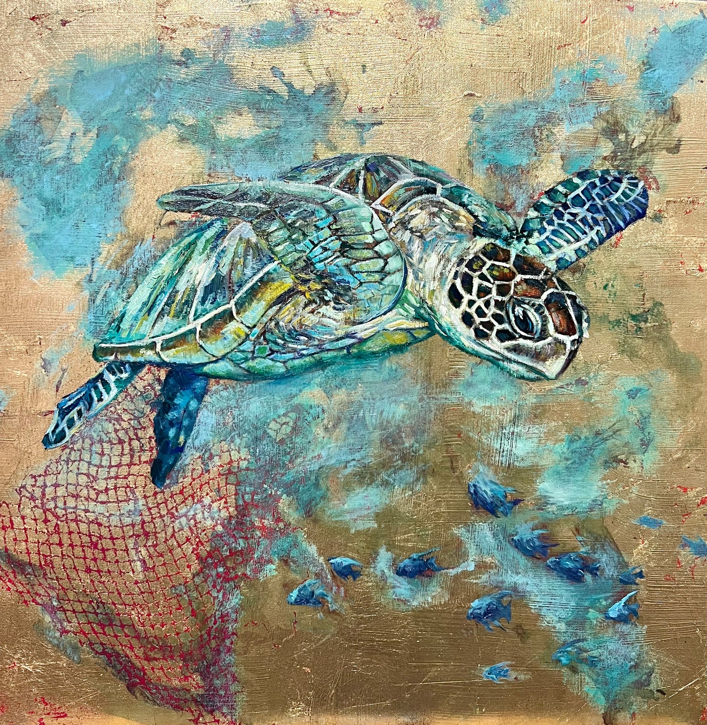Turtle 1